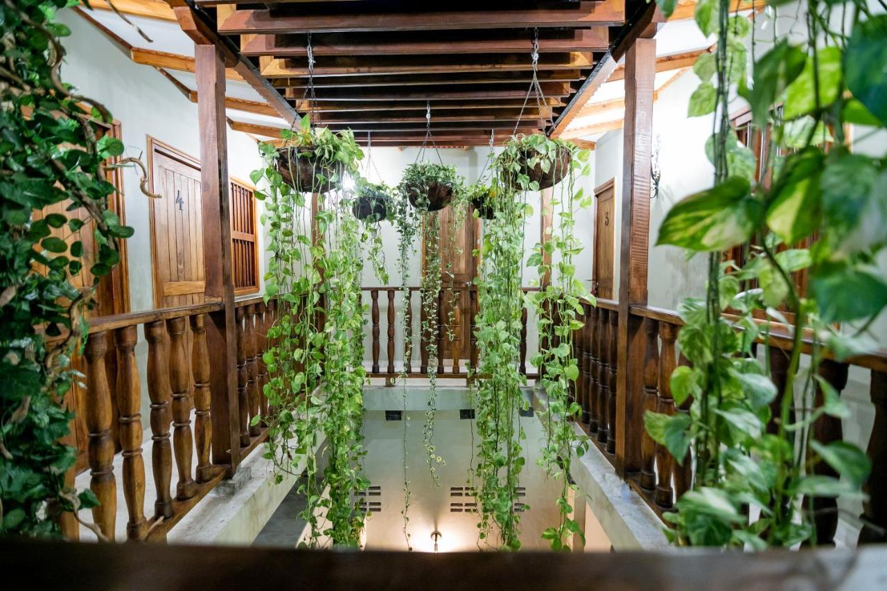 Cartagena Scalea Di Mare Hotel מראה חיצוני תמונה