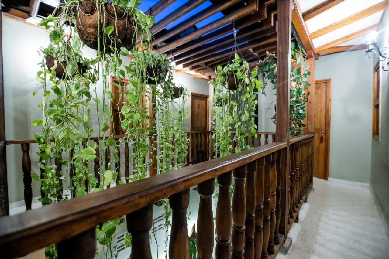 Cartagena Scalea Di Mare Hotel מראה חיצוני תמונה